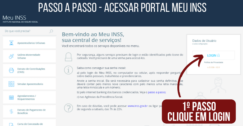 CTPs - Portal Meu INSS - Passo a Passo