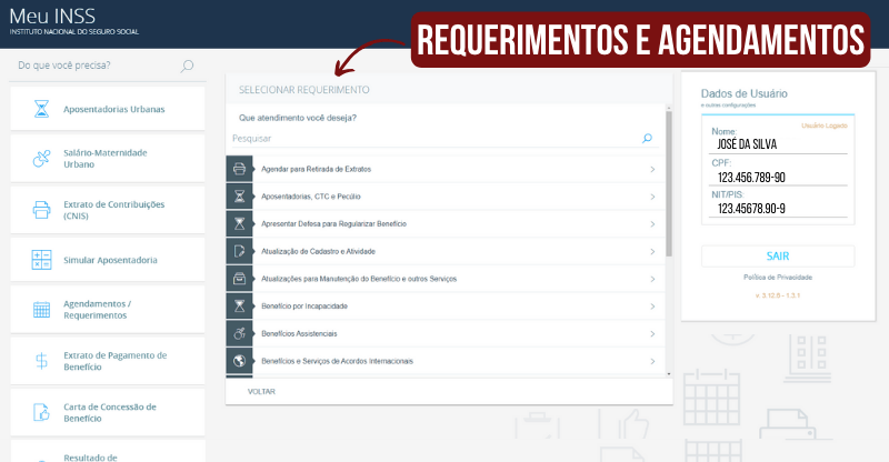 CTPs - Portal Meu INSS - Passo a Passo