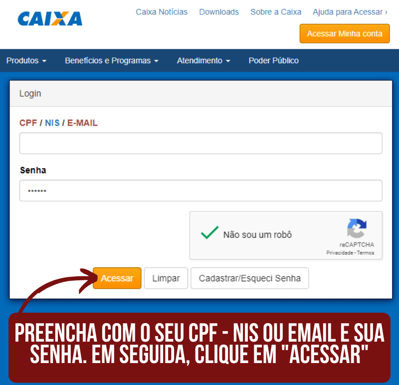 CTPS - CONSULTAR SALDO FGTS