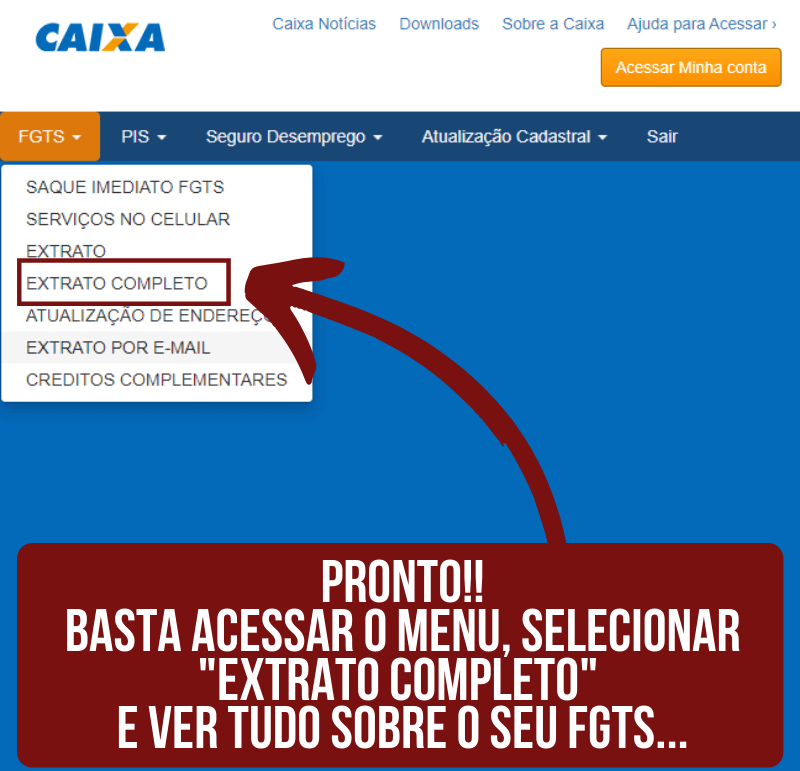 CTPS - CONSULTAR SALDO FGTS (4)